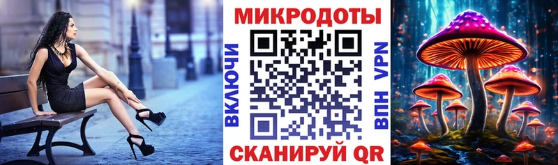 Галлюциногенные грибы Psilocybe  даркнет официальный сайт  Серафимович 